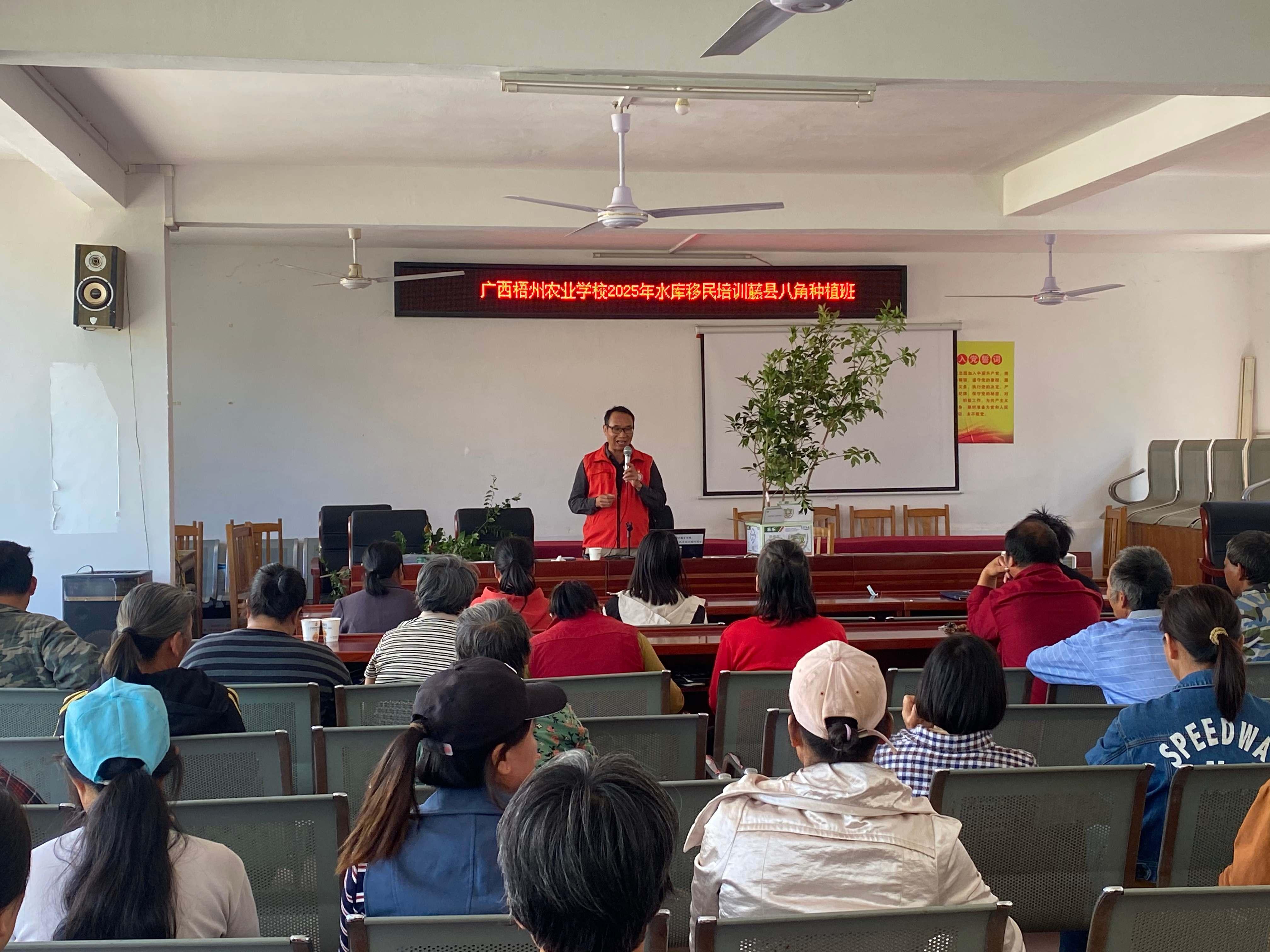 广西古龙：“田间课堂”开讲 八角产业增收